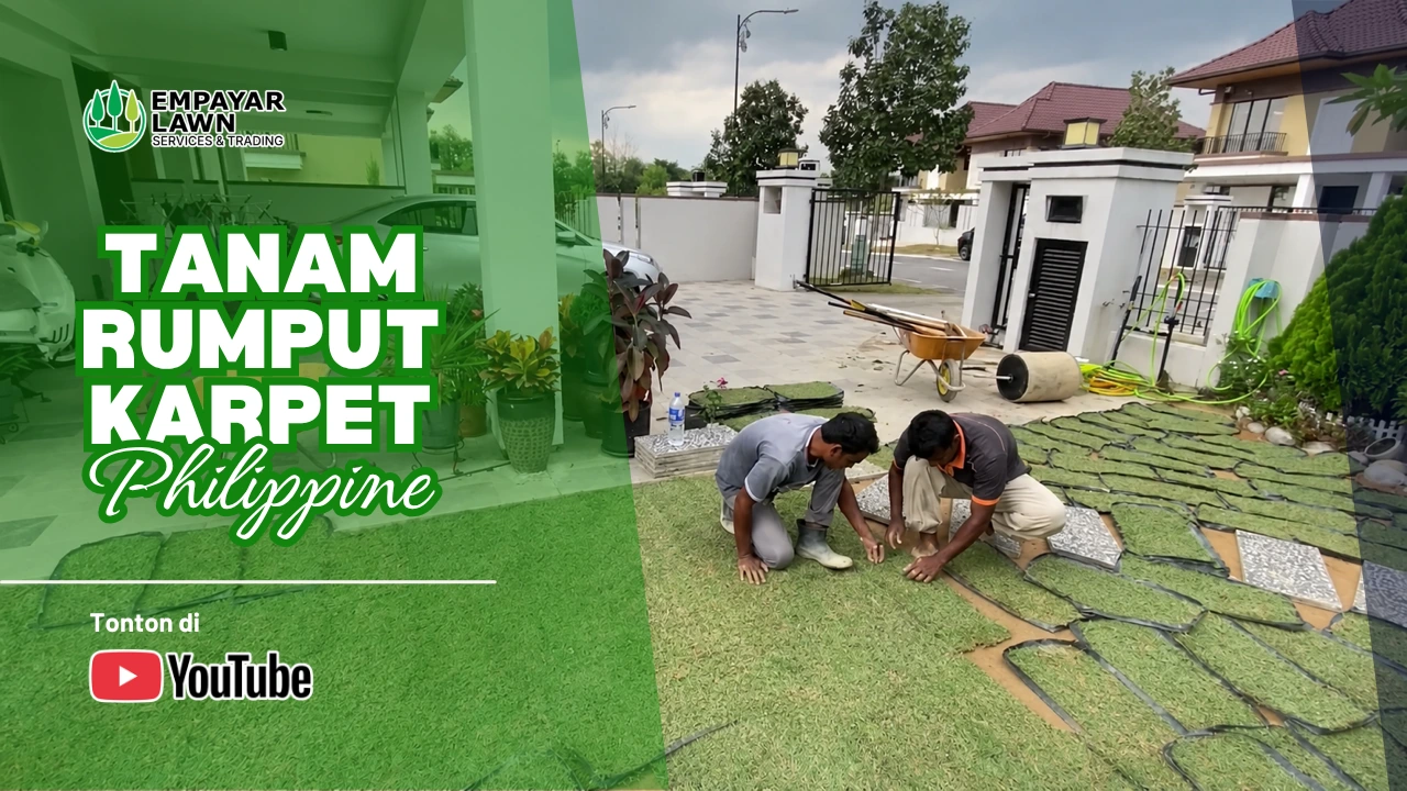 Pemasangan rumput karpet di hadapan rumah